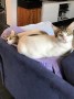 Snowo,Luna 5_IMG_5382